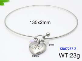 Stainless Steel Collar