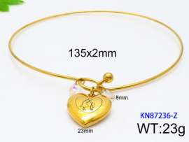 Stainless Steel Collar